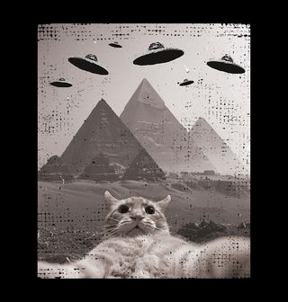Obrázek 2 produktu Dámské tričko Selfie Kočky v Říši Pyramid UFO