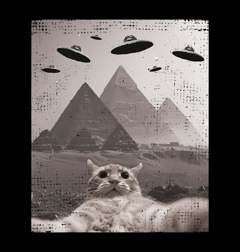 Obrázek produktu Dámské tričko Selfie Kočky v Říši Pyramid UFO