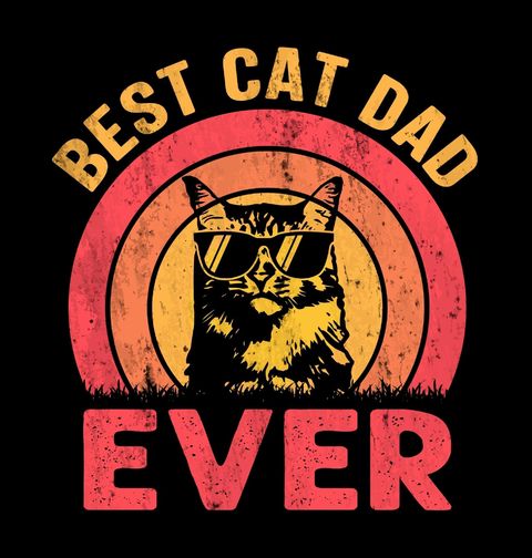 Obrázek produktu Pánská mikina Nejlepší Kočičí Táta Best Cat Dad