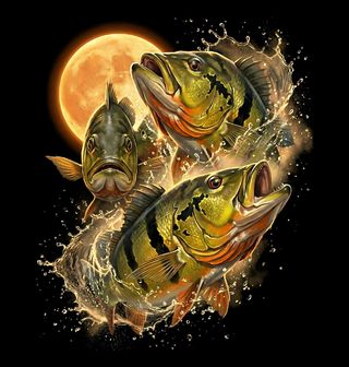 Obrázek 2 produktu Dětské tričko Ryby při Úplňku