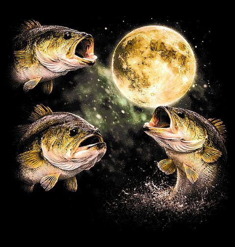 Obrázek produktu Pánská mikina Noční Rybí Kruh