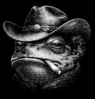 Obrázek 2 produktu Pánské tričko Kovbojská Žába