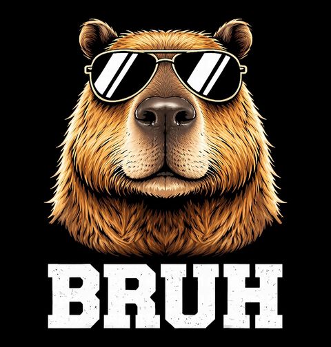 Obrázek produktu Dětské tričko Kapybara s Brýlemi Bruh