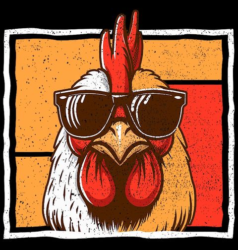 Obrázek produktu Pánské tričko Stylový Kohout s Brýlemi