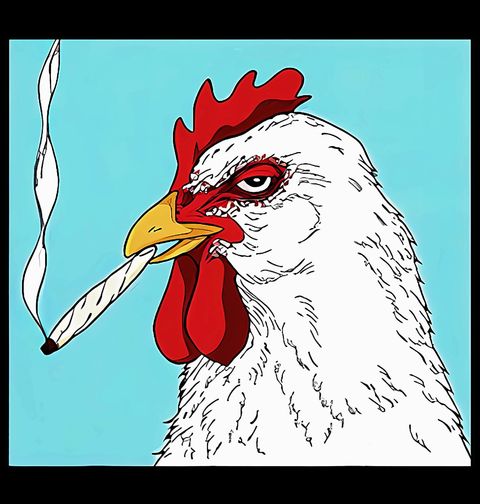 Obrázek produktu Dámské tričko Kohout s Cigaretou v Zobáku