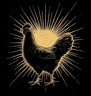 Obrázek 2 produktu Pánská mikina Posvátná Slepice v Záři Slunce