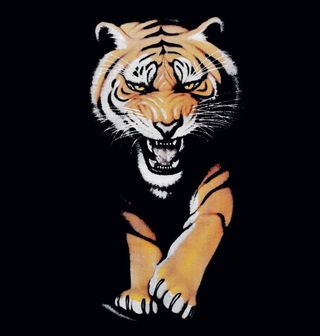 Obrázek 2 produktu Dámské tričko Neohrožený Bengálský Tygr