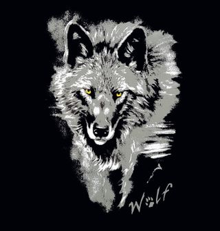 Obrázek 2 produktu Dámské tričko Osamělý vlk