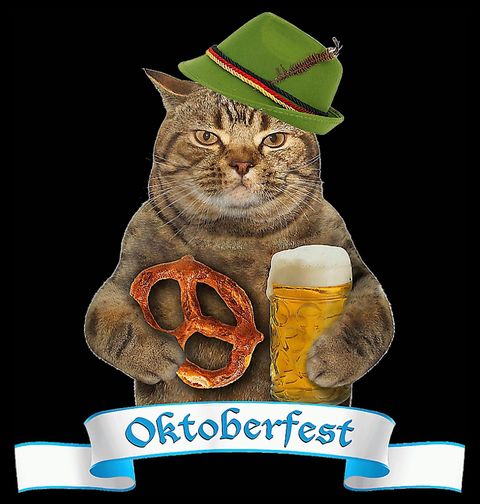 Obrázek produktu Dámské tričko Kočka Slaví Oktoberfest