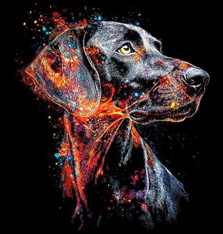 Obrázek 2 produktu Dětské tričko Umělecký Portrét Psa Německý ohař krátkosrstý