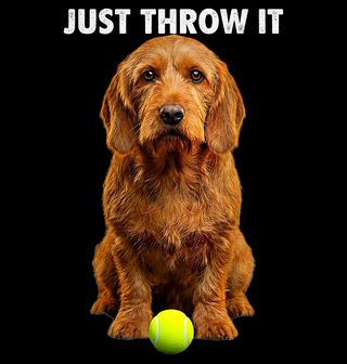 Obrázek 2 produktu Dámské tričko Bretaňský baset Prostě to hoď