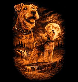 Obrázek 2 produktu Dětské tričko Foxteriér a Kouzlo Úplňku