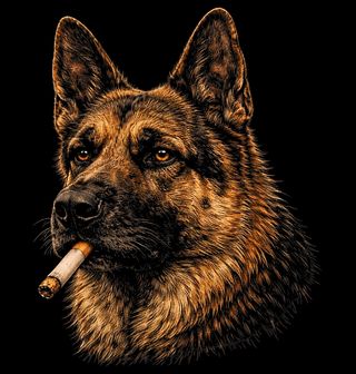 Obrázek 2 produktu Dámské tričko Německý Ovčák s Cigaretou