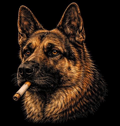 Obrázek produktu Dámské tričko Německý Ovčák s Cigaretou