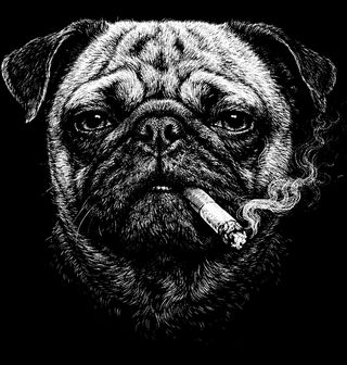 Obrázek 2 produktu Pánské tričko Mops s Cigaretou