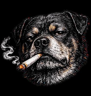 Obrázek 2 produktu Pánská mikina Bruselský Grifonek s Cigaretou