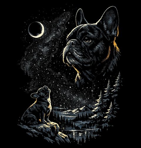 Obrázek produktu Dětské tričko Francouzský Buldoček pod Hvězdami