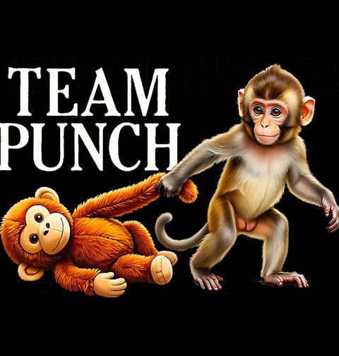 Obrázek produktu Dámské tričko Jsem Tým Punch