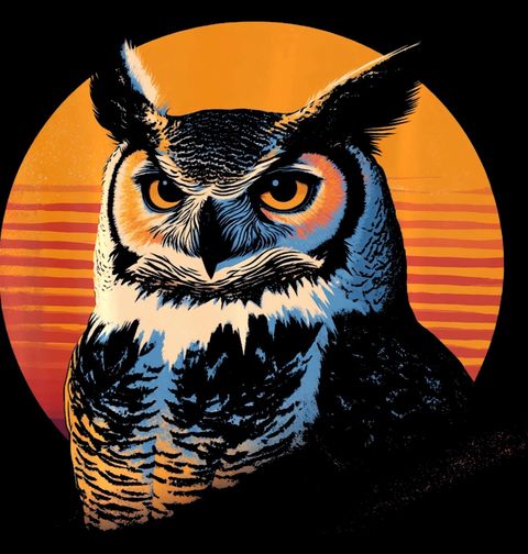 Obrázek produktu Dětské tričko Moudrá Sova