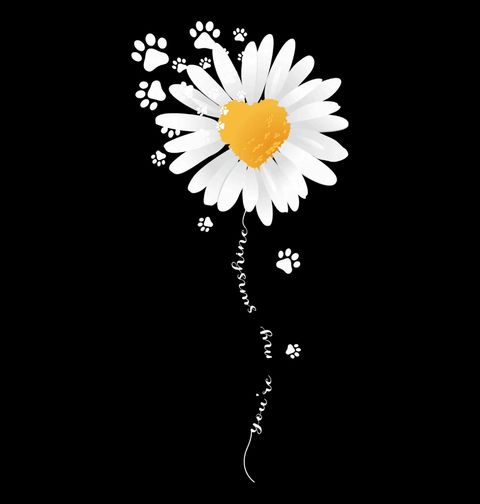 Obrázek produktu Dámské tričko Kopretina Lásky s Tlapkami