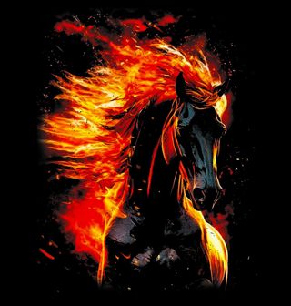 Obrázek 2 produktu Pánská mikina Kůň v Plamenech