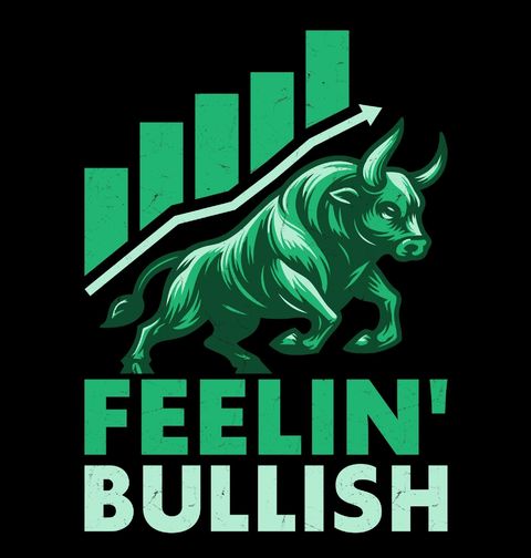 Obrázek produktu Pánská mikina Síla Býka