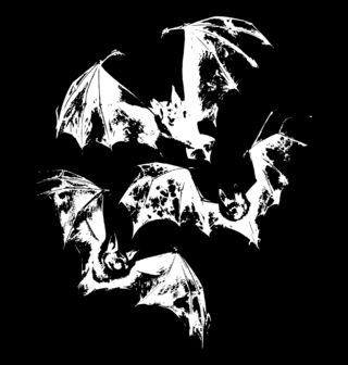 Obrázek 2 produktu Dětské tričko Noční Let Netopýrů