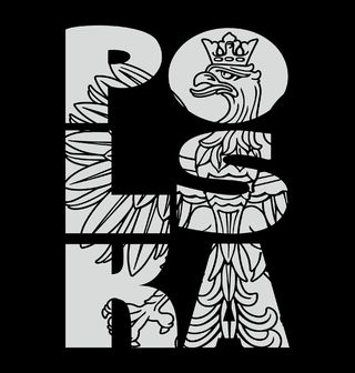 Obrázek 2 produktu Pánské tričko Síla Polska