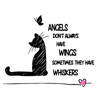 Obrázek 2 produktu Dámské tričko Kočičí Anděl