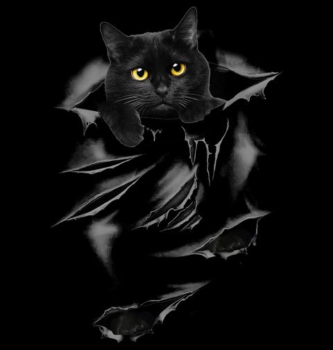 Obrázek produktu Dámské tričko Černá Kočka pod Kůží