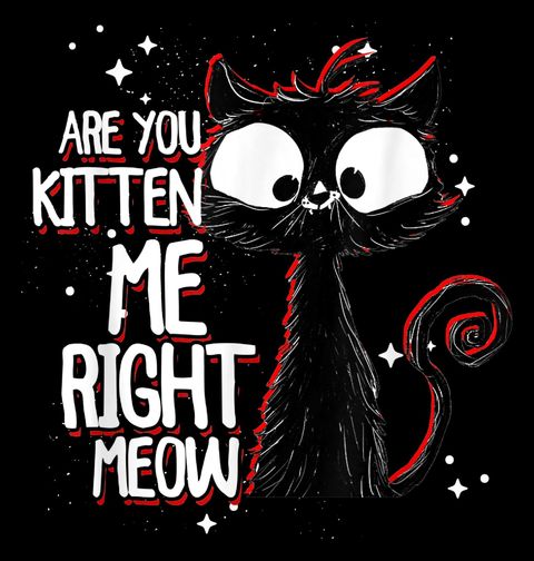 Obrázek produktu Pánská mikina To Myslíš Vážně Mňau