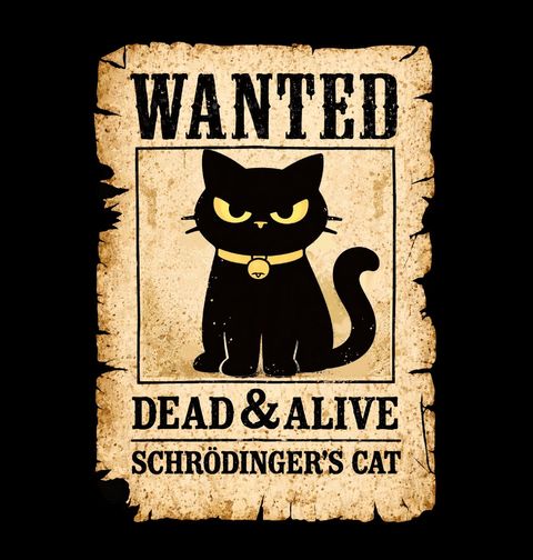 Obrázek produktu Dětské tričko Hledaná Kočka Wanted