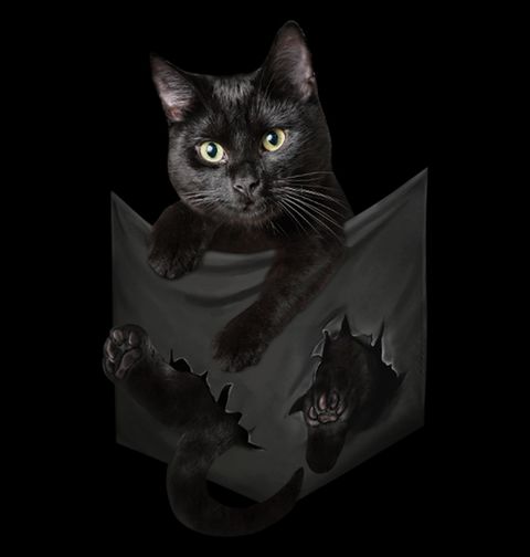 Obrázek produktu Dětské tričko Kočka Trhající Tričko