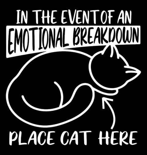 Obrázek produktu Pánské tričko Kočka jako Záchrana