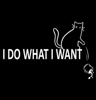 Obrázek 2 produktu Dětské tričko Typická Kočičí Povaha Dělám si co Chci