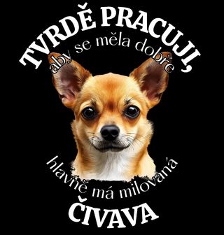 Obrázek 2 produktu Dětské tričko Tvrdě pracuji, aby se měla dobře má Čivava