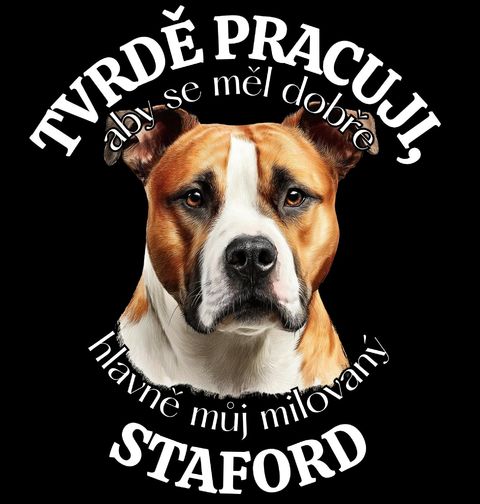 Obrázek produktu Dámské tričko Tvrdě pracuji, aby se měl dobře můj Staford