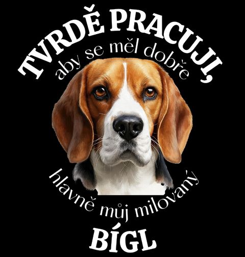 Obrázek produktu Dětské tričko Tvrdě pracuji, aby se měl dobře můj Bígl