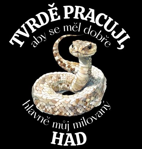 Obrázek produktu Dámské tričko Tvrdě pracuji, aby se měl dobře můj Had