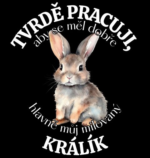 Obrázek produktu Pánská mikina Tvrdě pracuji, aby se měl dobře můj Králík