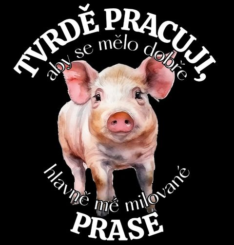 Obrázek produktu Pánské tričko Tvrdě pracuji, aby se mělo dobře mé Prase