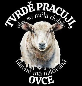 Obrázek 2 produktu Pánská mikina Tvrdě pracuji, aby se měla dobře má Ovce