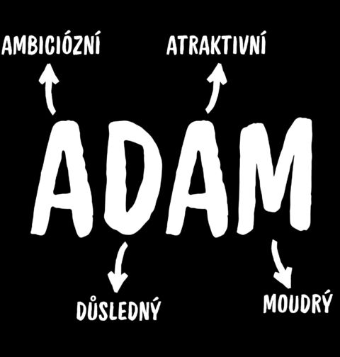 Obrázek produktu Pánské tričko Popis Jména Adam