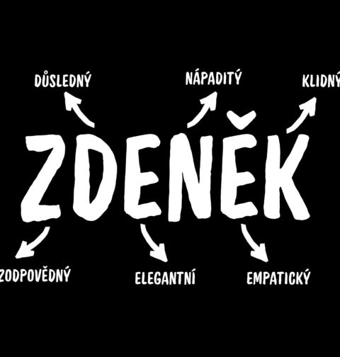 Obrázek produktu Pánské tričko Popis Jména Zdeněk