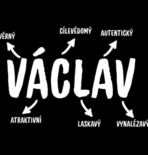 Obrázek produktu Dětské tričko Popis Jména Václav