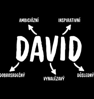 Obrázek 2 produktu Pánské tričko Popis Jména David