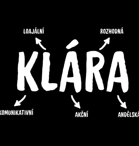 Obrázek produktu Dámské tričko Popis Jména Klára