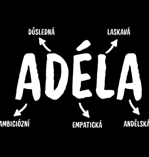 Obrázek produktu Dámské tričko Popis Jména Adéla