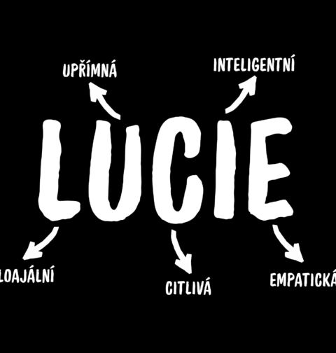 Obrázek produktu Dámské tričko Popis Jména Lucie