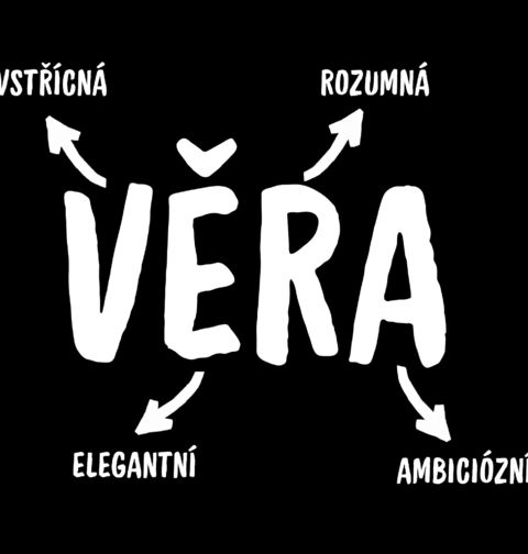 Obrázek produktu Dětské tričko Popis Jména Věra